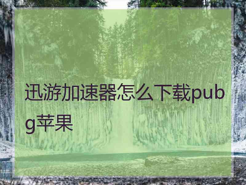 迅游加速器怎么下载pubg苹果