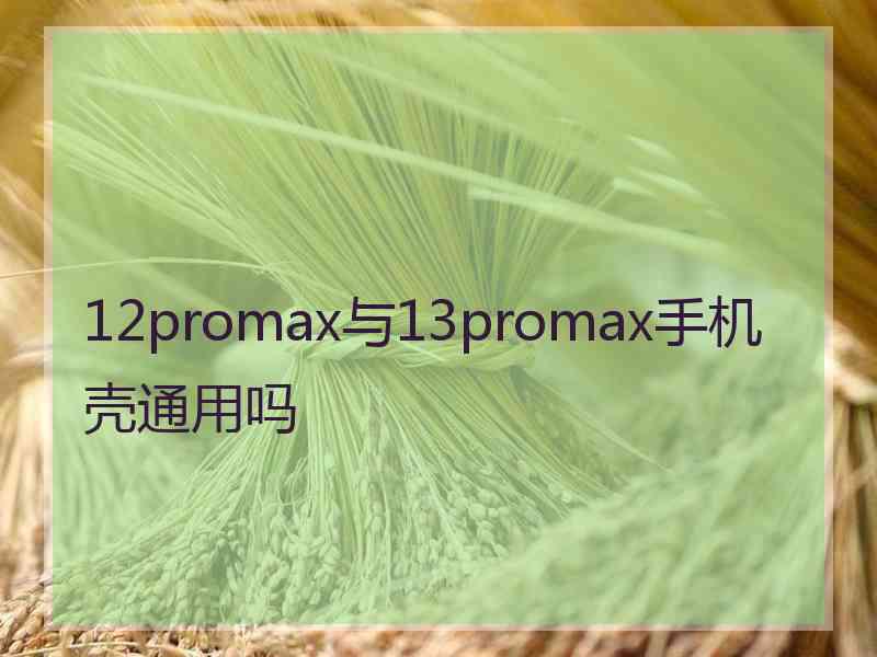 12promax与13promax手机壳通用吗