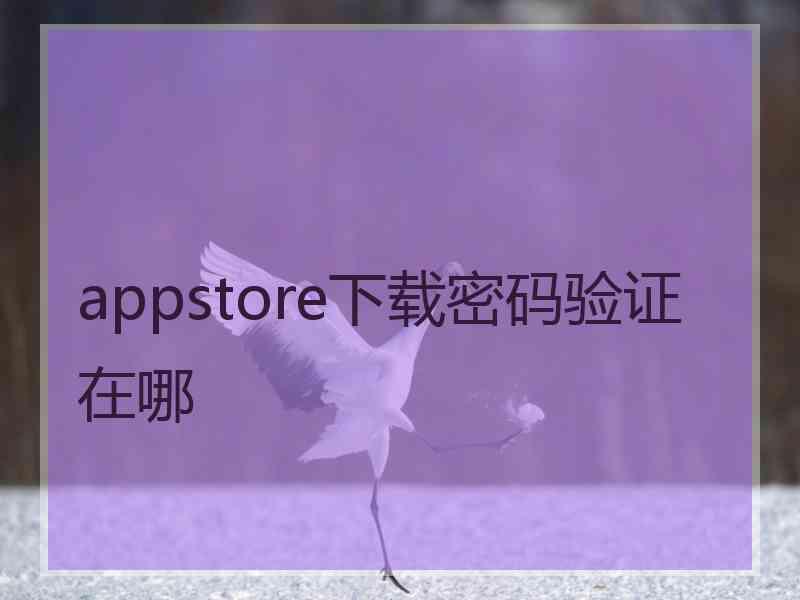 appstore下载密码验证在哪