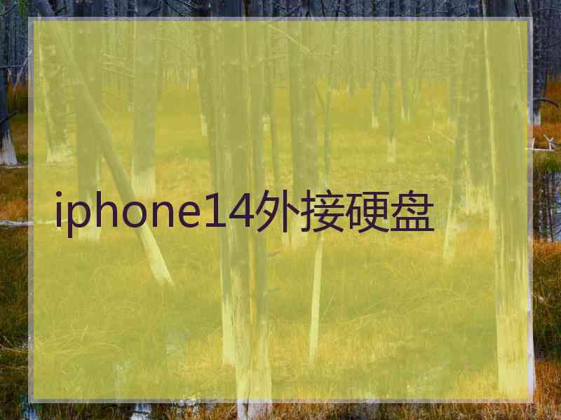 iphone14外接硬盘