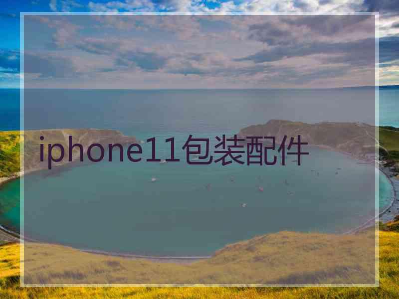 iphone11包装配件