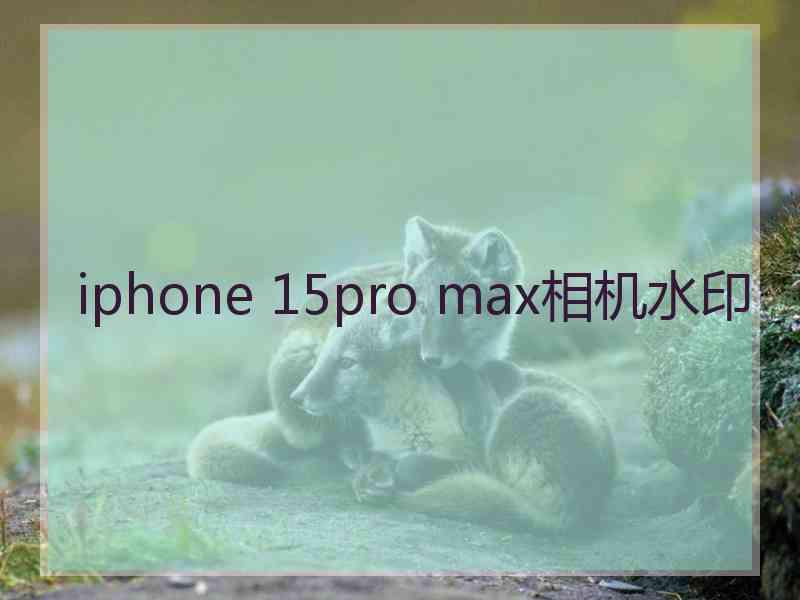 iphone 15pro max相机水印