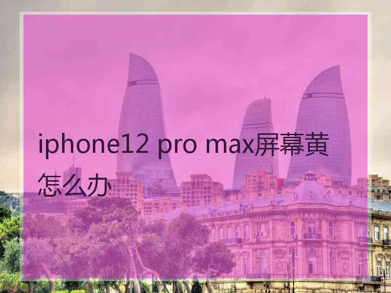 iphone12 pro max屏幕黄怎么办