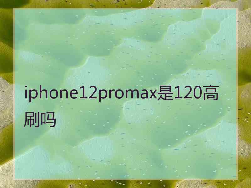 iphone12promax是120高刷吗