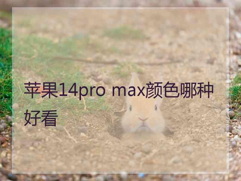 苹果14pro max颜色哪种好看