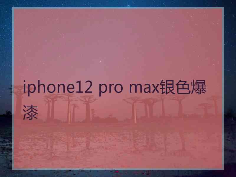 iphone12 pro max银色爆漆