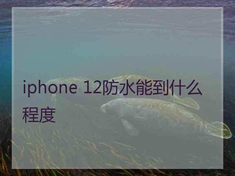 iphone 12防水能到什么程度