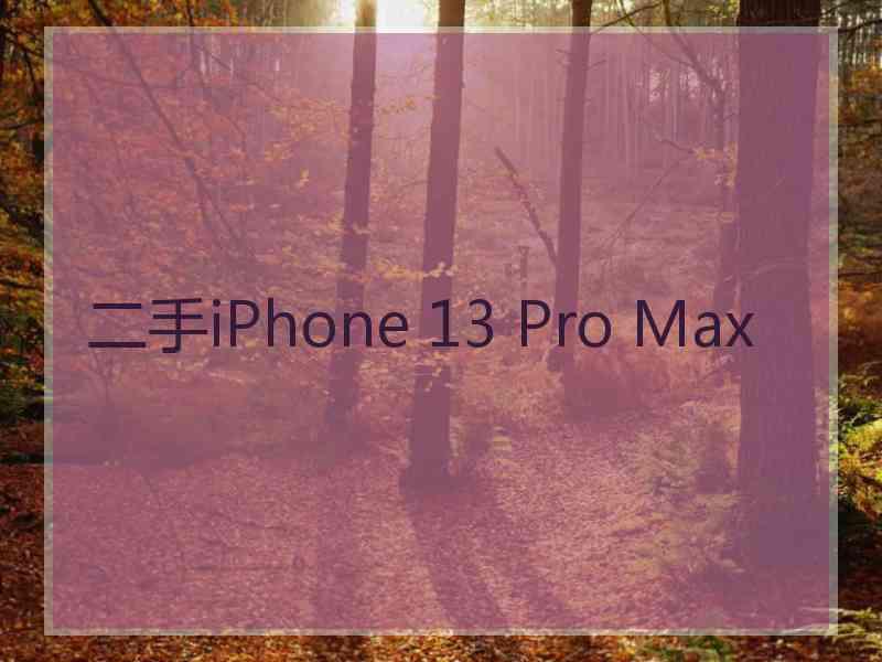 二手iPhone 13 Pro Max