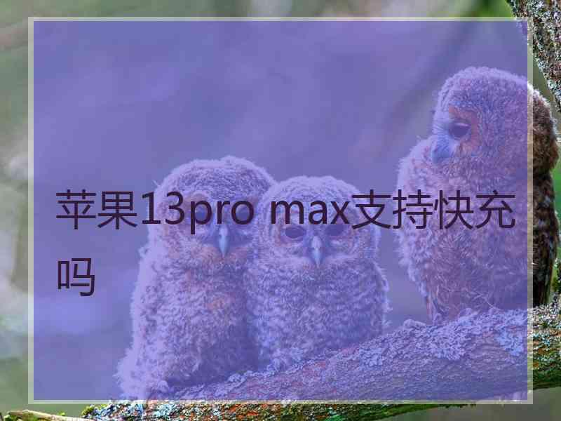 苹果13pro max支持快充吗