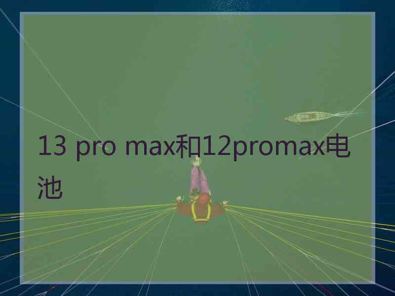 13 pro max和12promax电池