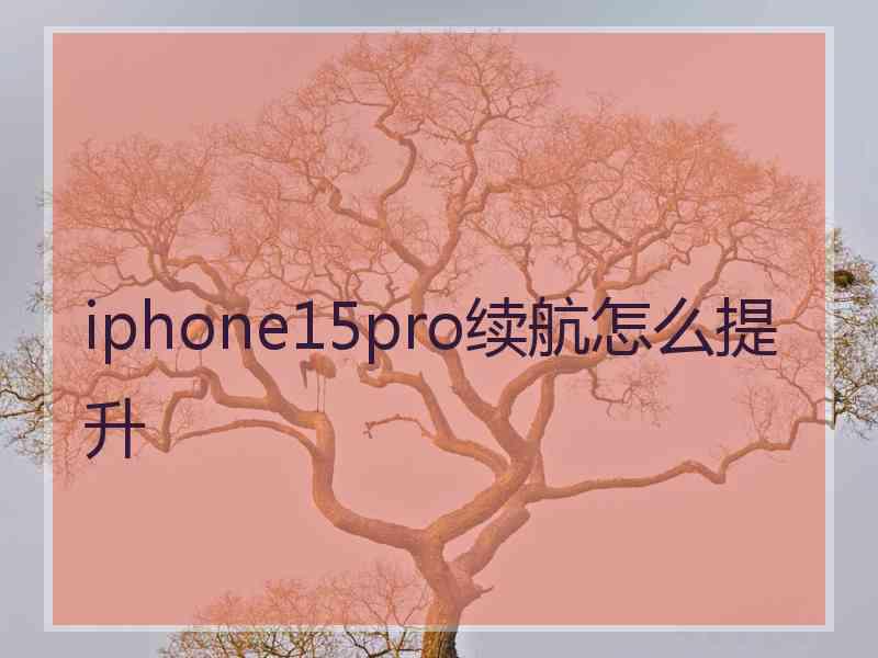 iphone15pro续航怎么提升