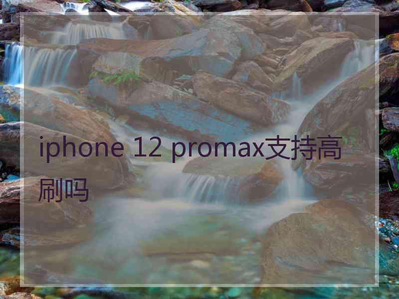 iphone 12 promax支持高刷吗