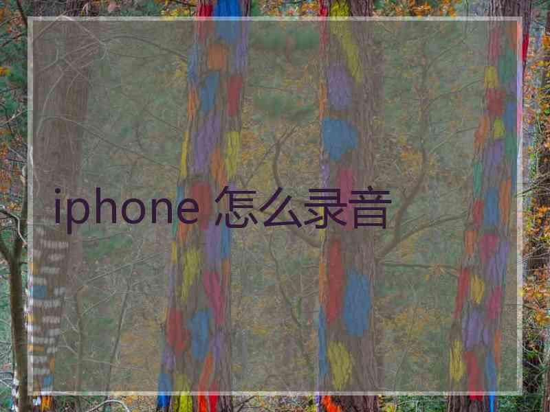 iphone 怎么录音