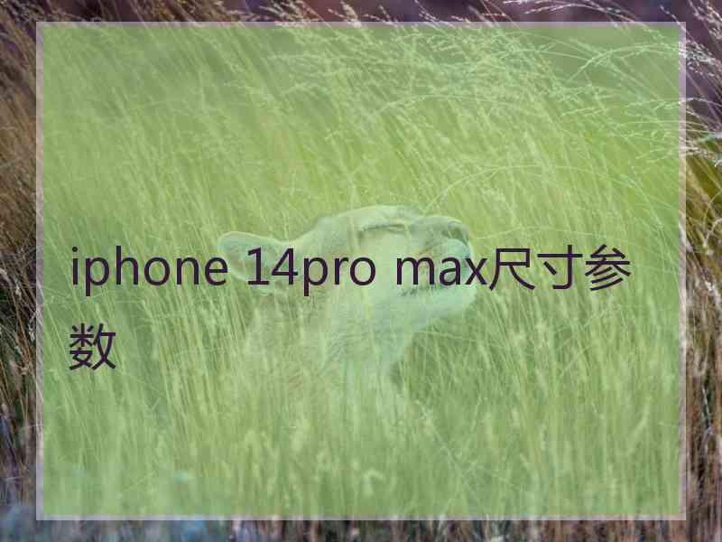 iphone 14pro max尺寸参数