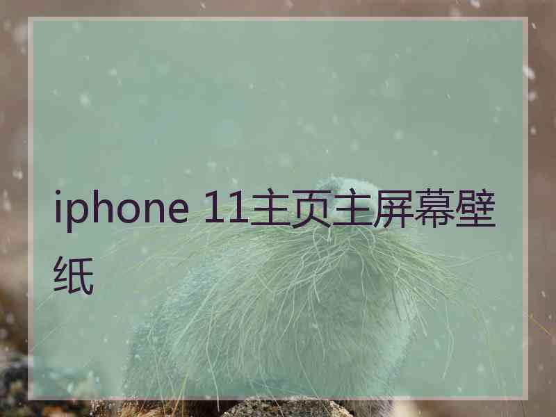 iphone 11主页主屏幕壁纸