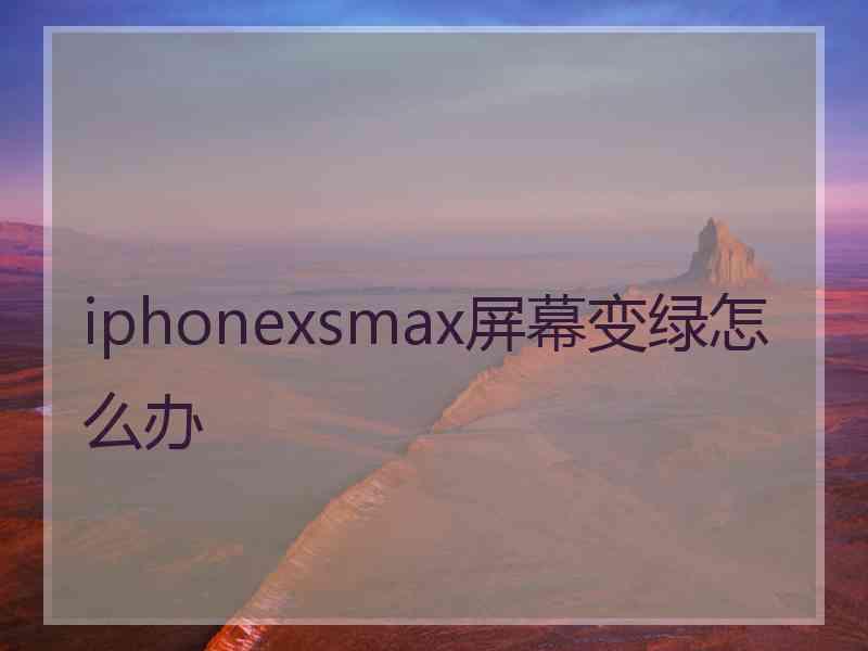 iphonexsmax屏幕变绿怎么办