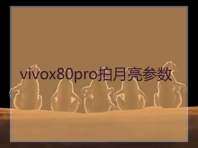 vivox80pro拍月亮参数