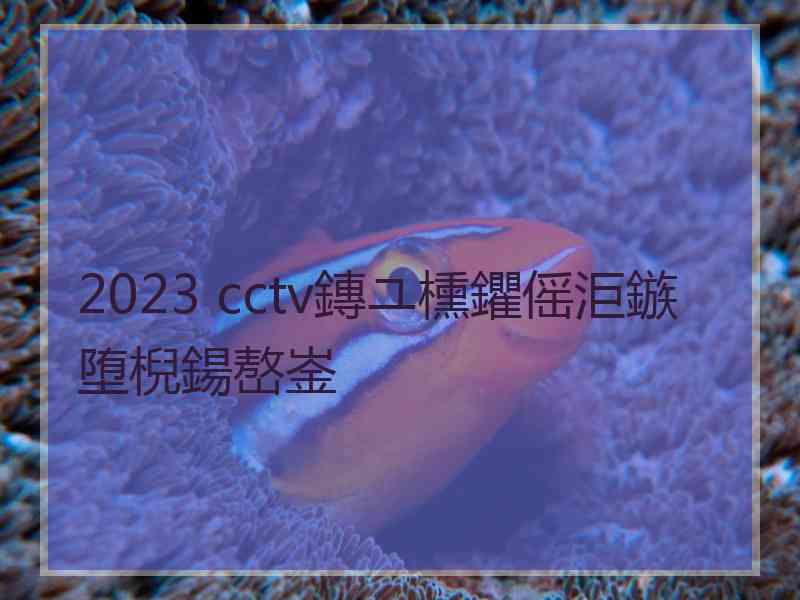 2023 cctv鏄ユ櫄鑺傜洰鏃堕棿鍚嶅崟