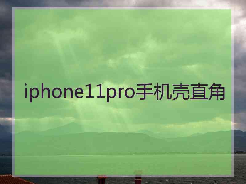 iphone11pro手机壳直角