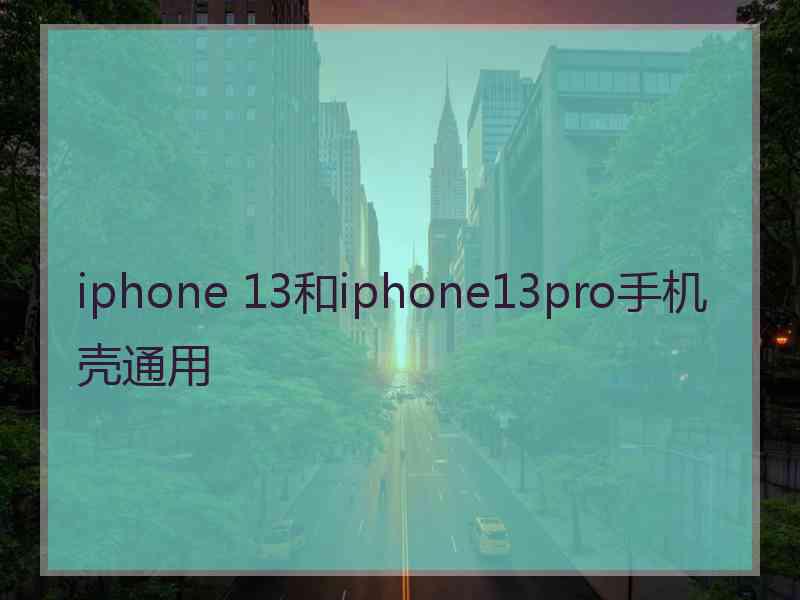 iphone 13和iphone13pro手机壳通用