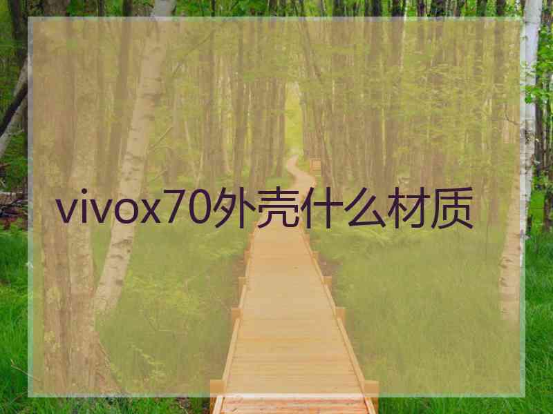 vivox70外壳什么材质