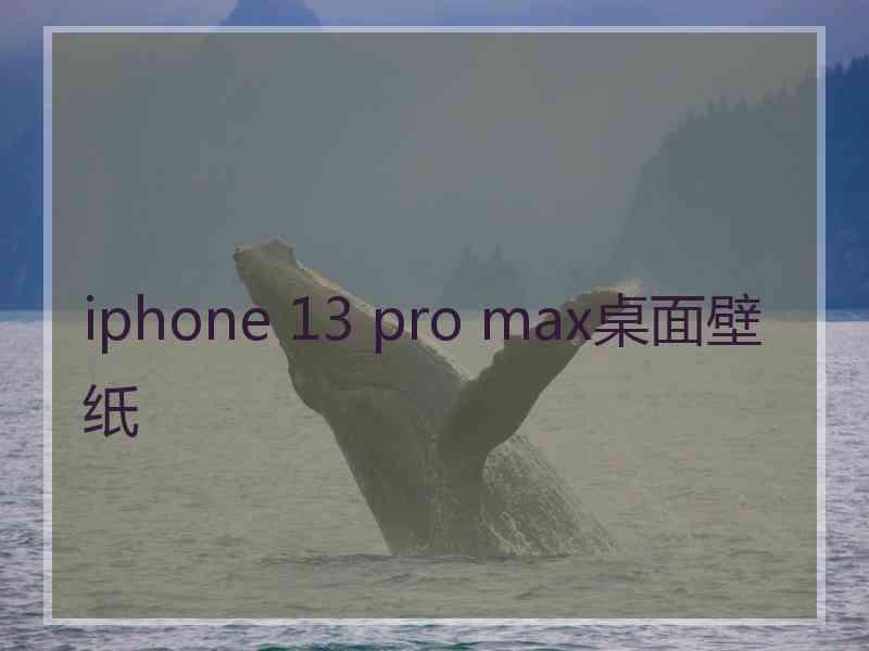 iphone 13 pro max桌面壁纸