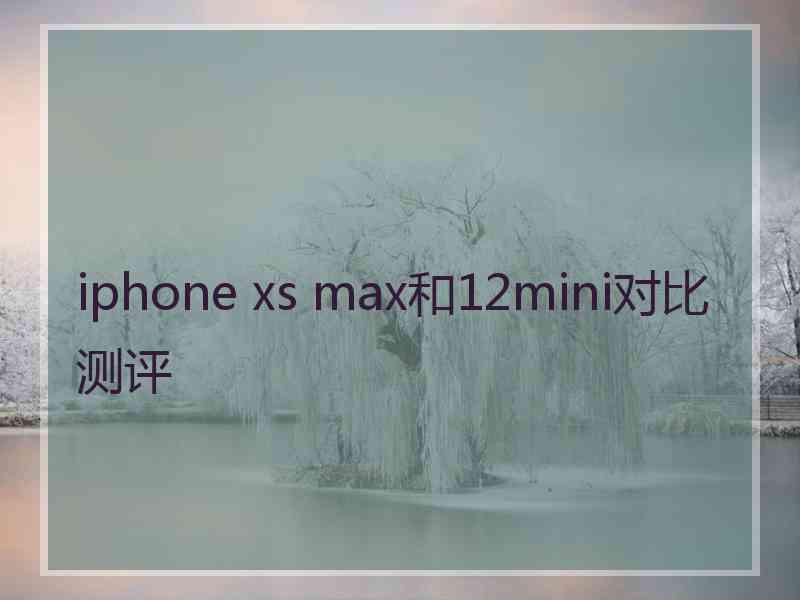 iphone xs max和12mini对比测评