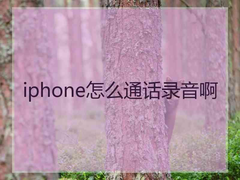 iphone怎么通话录音啊