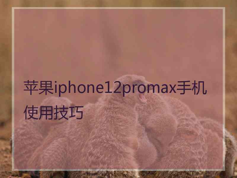 苹果iphone12promax手机使用技巧