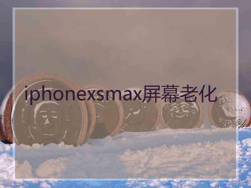 iphonexsmax屏幕老化