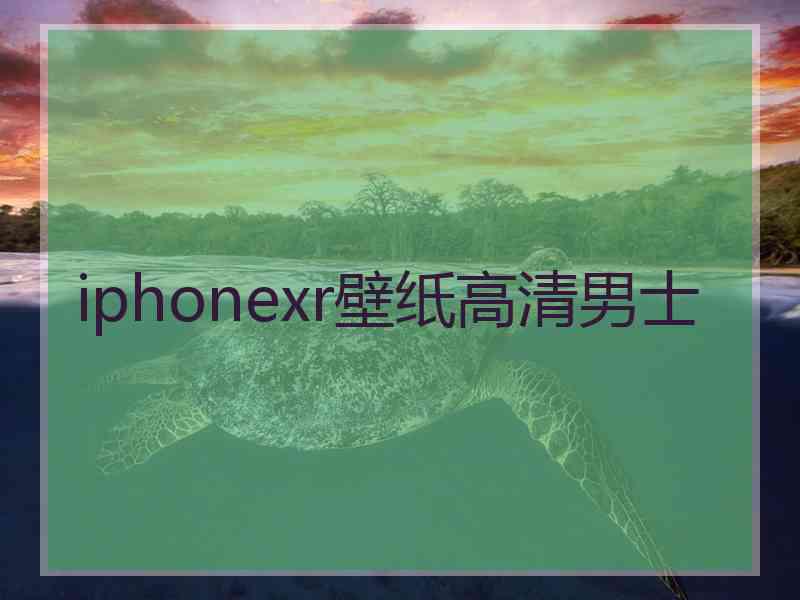 iphonexr壁纸高清男士