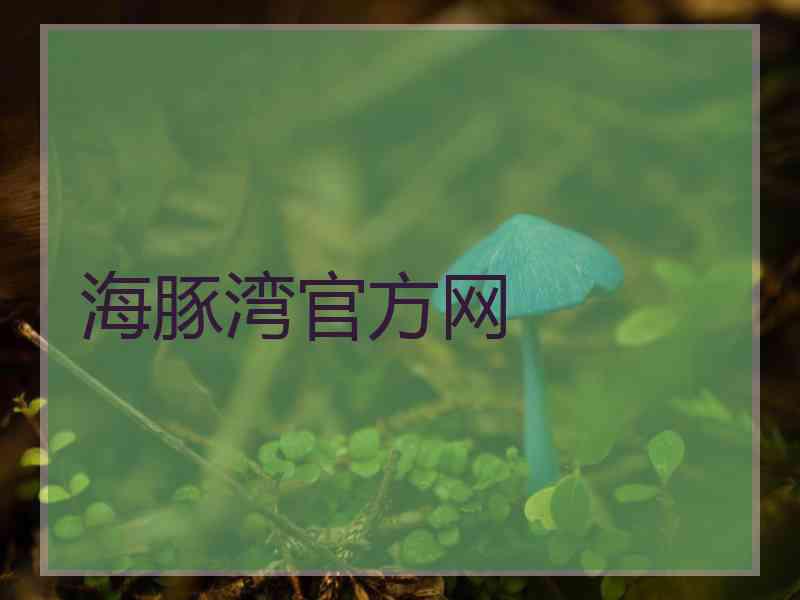 海豚湾官方网