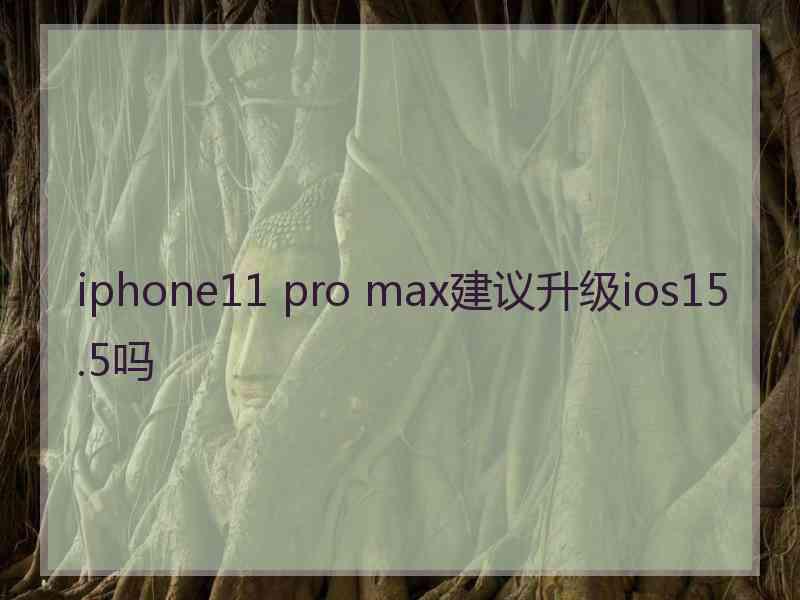 iphone11 pro max建议升级ios15.5吗