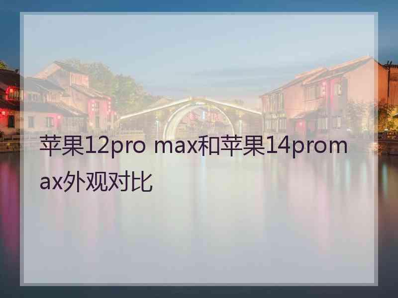 苹果12pro max和苹果14promax外观对比