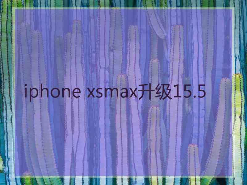 iphone xsmax升级15.5