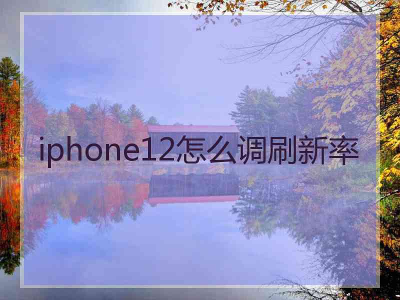 iphone12怎么调刷新率