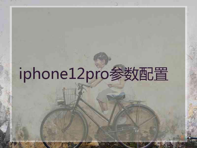 iphone12pro参数配置