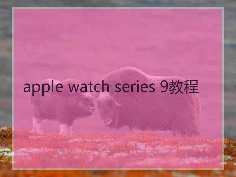 apple watch series 9教程