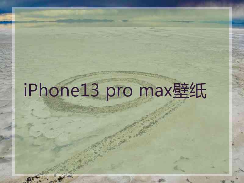 iPhone13 pro max壁纸