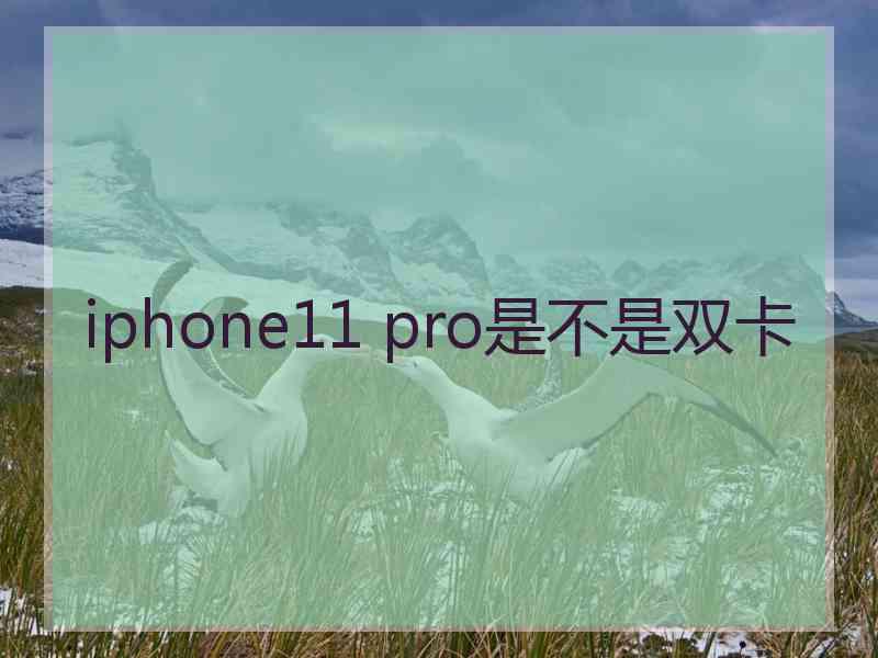 iphone11 pro是不是双卡