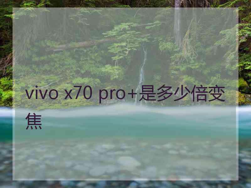 vivo x70 pro+是多少倍变焦