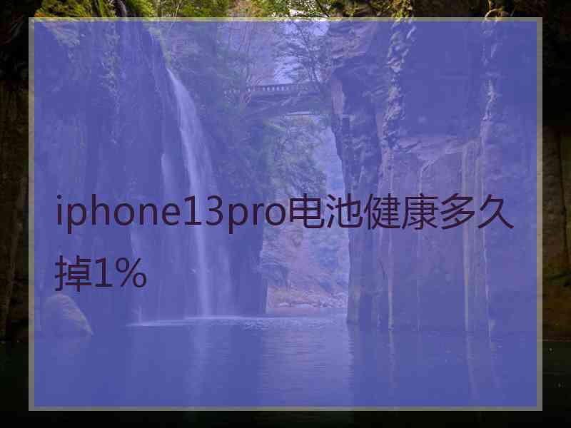 iphone13pro电池健康多久掉1%