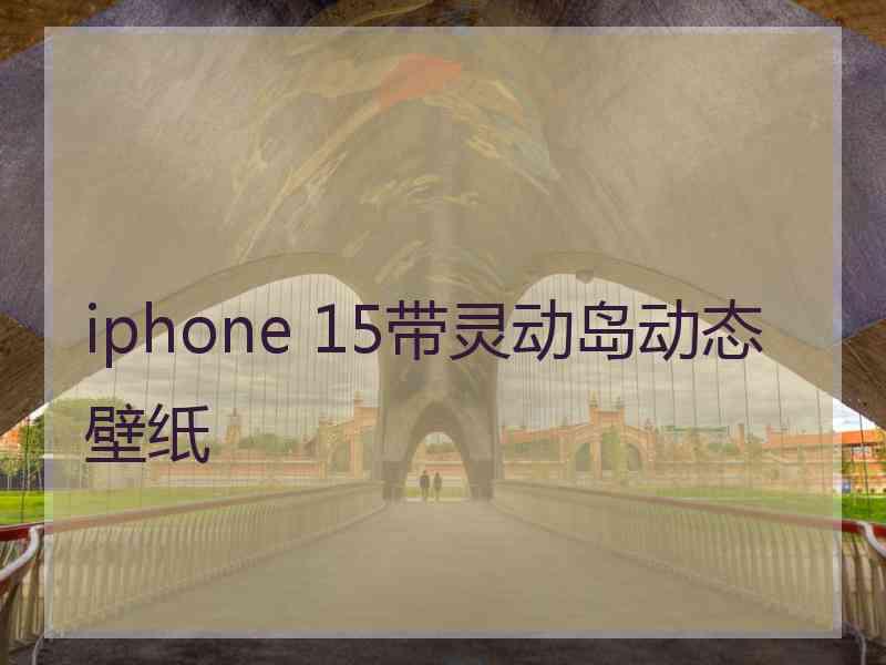 iphone 15带灵动岛动态壁纸