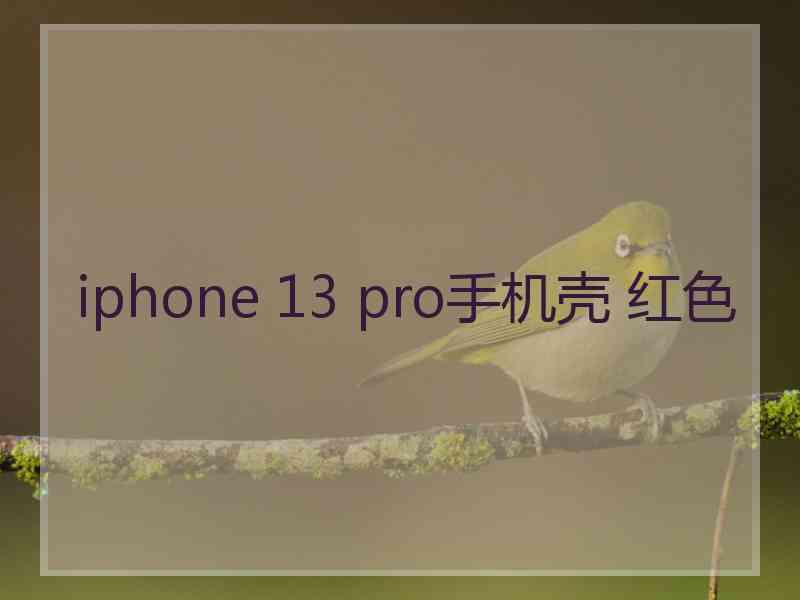 iphone 13 pro手机壳 红色