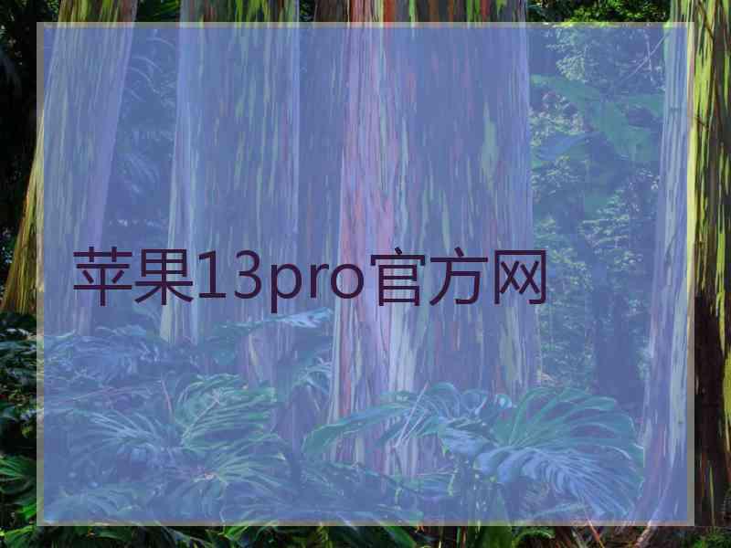 苹果13pro官方网