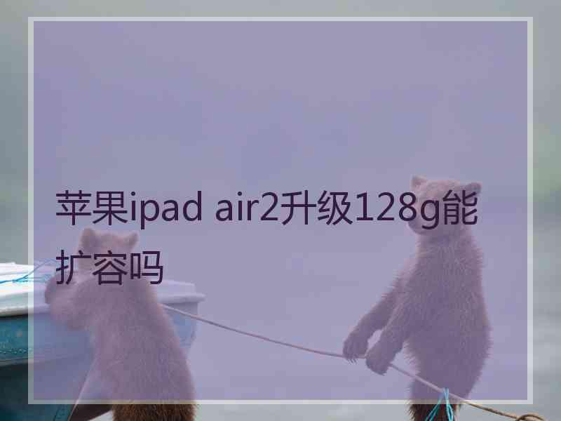 苹果ipad air2升级128g能扩容吗