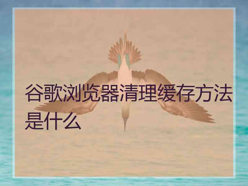 谷歌浏览器清理缓存方法是什么