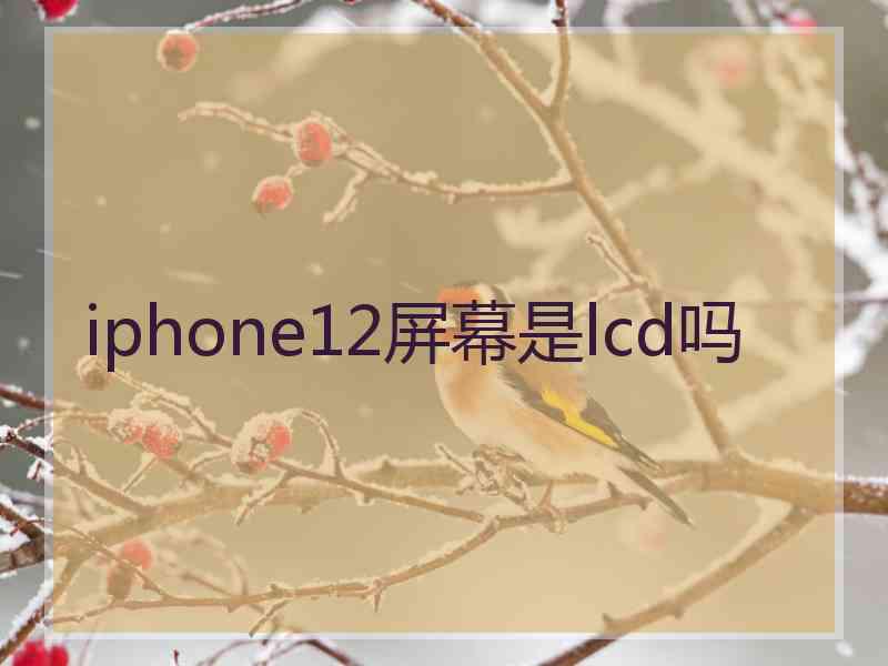 iphone12屏幕是lcd吗