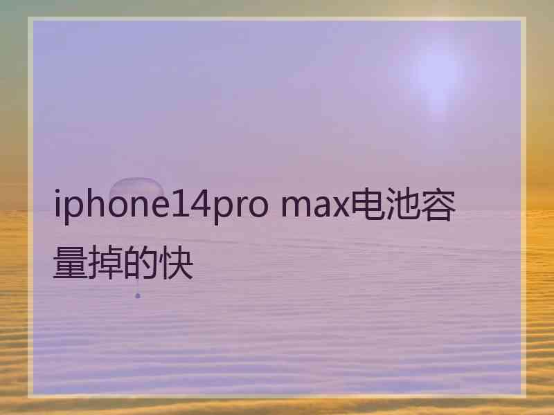 iphone14pro max电池容量掉的快