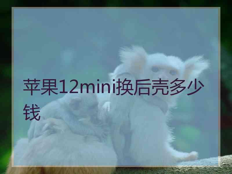 苹果12mini换后壳多少钱